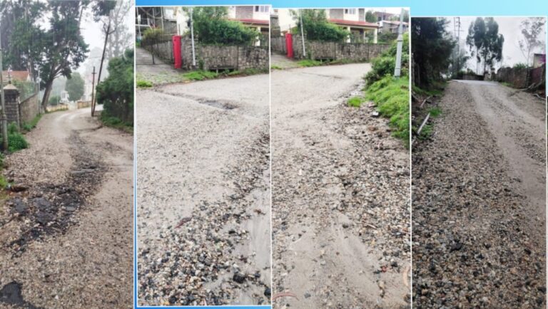 WhatsApp Image 2021-06-04 at 5.25.46 PM