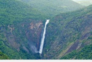 WhatsApp Image 2021-06-09 at 3.15.30 PM