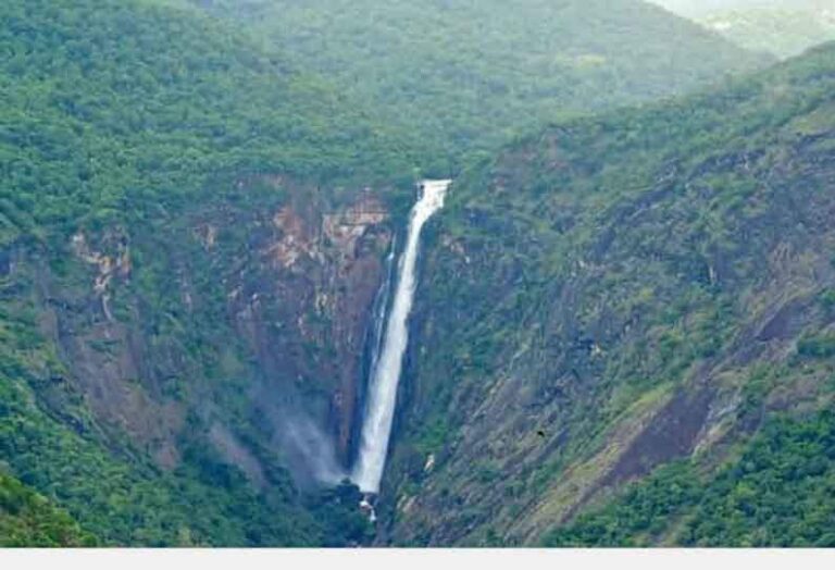 WhatsApp Image 2021-06-09 at 3.15.30 PM