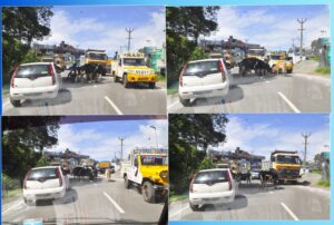 WhatsApp Image 2021-06-10 at 4.59.40 PM