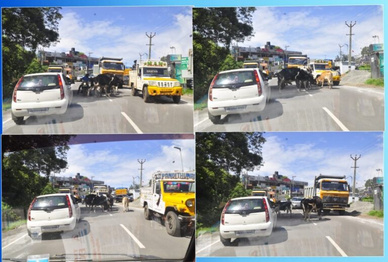 WhatsApp Image 2021-06-10 at 4.59.40 PM