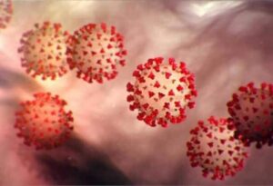 WhatsApp Image 2021-06-12 at 6.16.59 AM