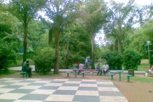 WhatsApp Image 2021-06-14 at 8.25.35 AM