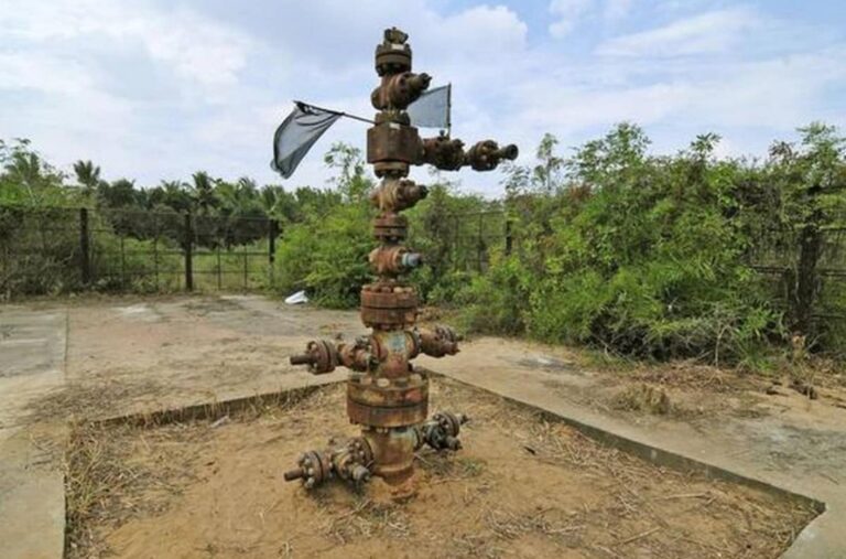 WhatsApp Image 2021-06-17 at 1.19.27 PM