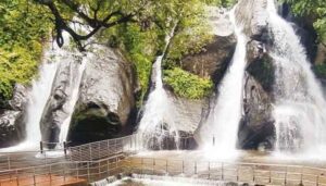 WhatsApp Image 2021-06-21 at 8.38.47 AM