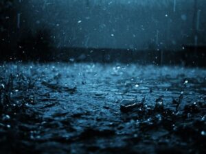 0934c64fee72057732fb9722ac318561