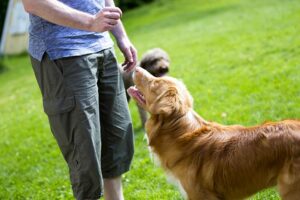 Training-at-the-Park