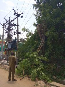 WhatsApp Image 2021-07-02 at 12.32.59 PM