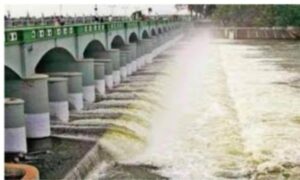 WhatsApp Image 2021-07-11 at 11.00.19