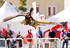 WhatsApp Image 2021-07-12 at 09.39.55