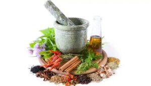 WhatsApp Image 2021-07-19 at 17.29.56