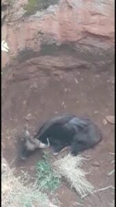 WhatsApp Image 2021-07-22 at 1.35.15 PM