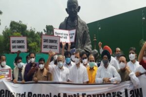 WhatsApp Image 2021-07-23 at 12.05.40