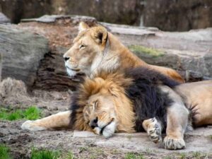 WhatsApp Image 2021-07-24 at 10.10.27