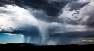 WhatsApp Image 2021-07-28 at 13.59.51