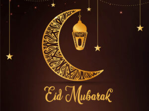 coverimage-1565592727