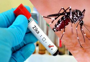 WhatsApp Image 2021-08-01 at 09.57.10