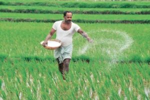 WhatsApp Image 2021-08-12 at 15.17.02