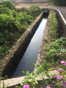 WhatsApp Image 2021-08-14 at 09.24.12