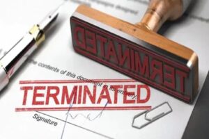 WhatsApp Image 2021-09-12 at 9.55.22 PM