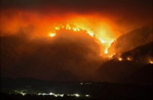 WhatsApp Image 2021-09-14 at 2.14.25 PM