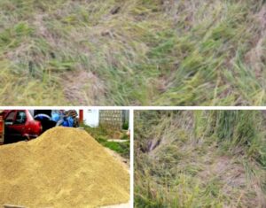 WhatsApp Image 2021-10-17 at 8.53.58 AM