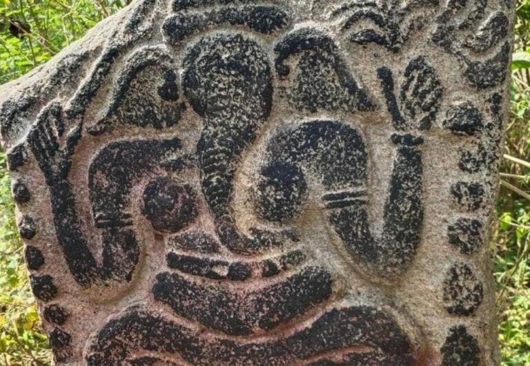 WhatsApp Image 2021-12-28 at 14.41.12