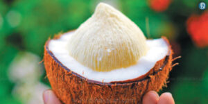 coconut