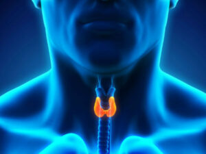 thyroid