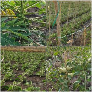 WhatsApp Image 2022-03-05 at 9.33.38 AM (1)