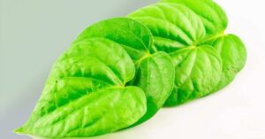 betel-leaves-new.jpg.image.784.410