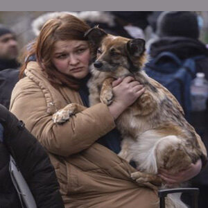 pets-ukraine-leaveing-4-web1