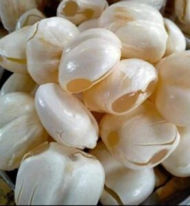 WhatsApp Image 2022-04-01 at 10.50.11 AM