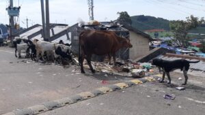 WhatsApp Image 2022-06-15 at 12.04.54 PM