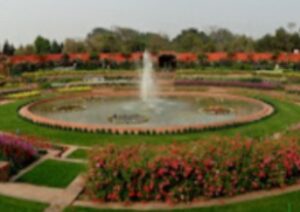 Screenshot_2022_1127_201146~2