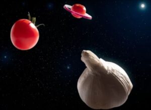 Screenshot_20221205-145219