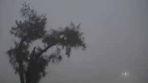 n45890176416729023029620b65ac349c649a65fedc33ac265e369566520b6fb534ecd5e469ae60f94bbb9b