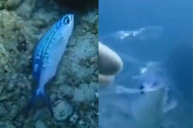 n45973766216730828158315fac61804e0d969a3d2aafd6ad8159c704e8627f88ebe8282c17d9ae407953cc