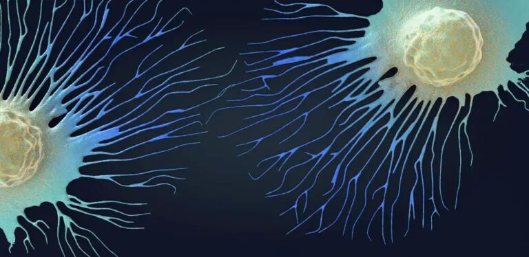 n460747548167341612135738b490987a2d92f1eeca25c13e913f1b2782bba0ac2e9adcc117d095869e1558