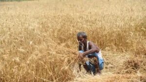 n46115493616735026651533b4f0658967c72167581163465034b82cce713d503c8b12ec03835d1b6a62dd3