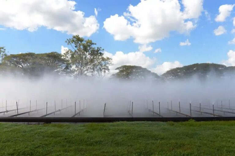 n4670436281675146494448fb79a3c576cae31c0a162947445edc56705d98e51217d20d5b4449780278b834