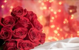 Screenshot_2023_0213_214639