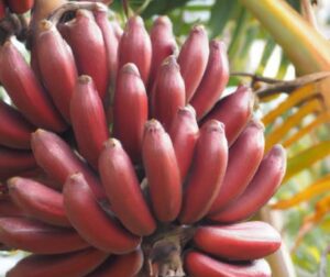 Screenshot_2024_0225_101205