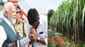 WhatsApp Image 2024-02-22 at 2.31.26 PM