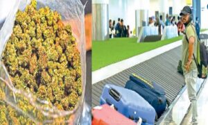 WhatsApp Image 2024-02-23 at 3.10.00 PM