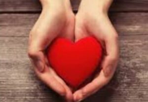 WhatsApp Image 2024-02-24 at 1.53.55 PM