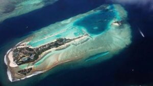 WhatsApp Image 2024-02-24 at 10.43.39 AM