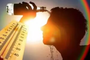 WhatsApp Image 2024-02-26 at 2.23.52 PM (1)