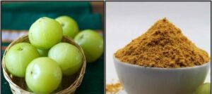 WhatsApp Image 2024-02-29 at 3.49.16 PM