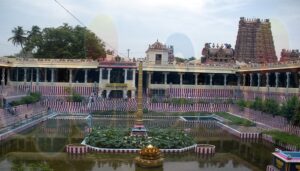 WhatsApp Image 2024-03-04 at 2.56.52 PM